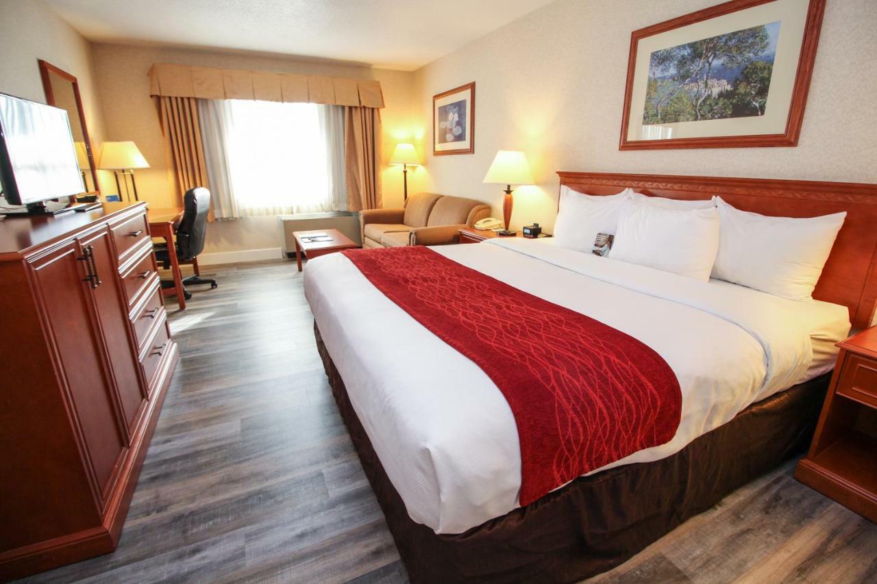 Comfort Inn & Suites Βικτώρια Εξωτερικό φωτογραφία