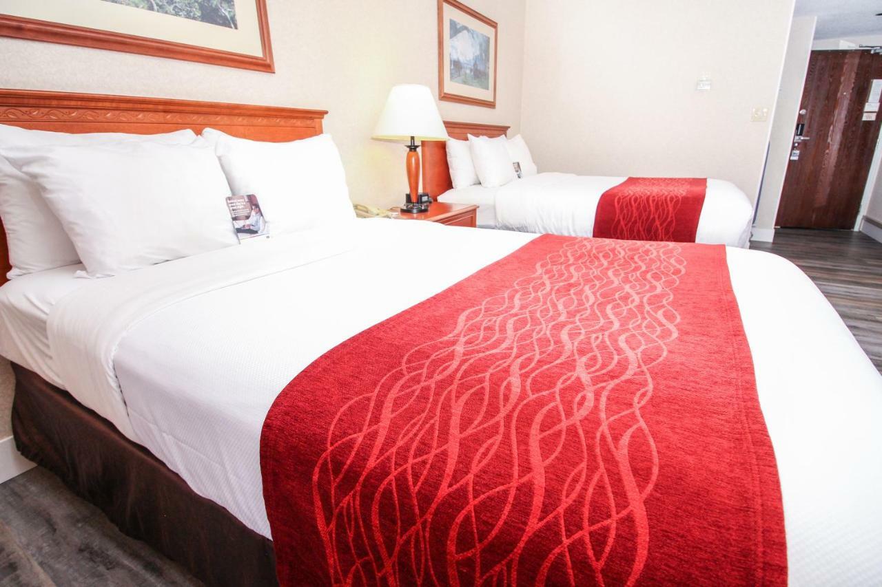 Comfort Inn & Suites Βικτώρια Εξωτερικό φωτογραφία